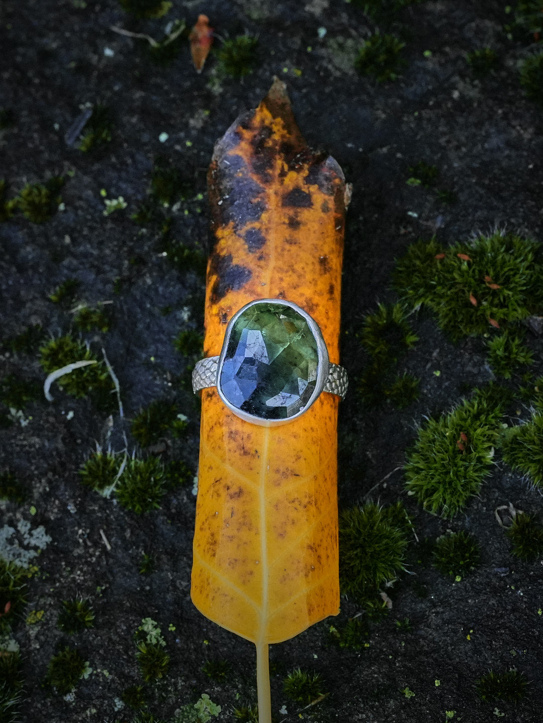 The Rider's Ring