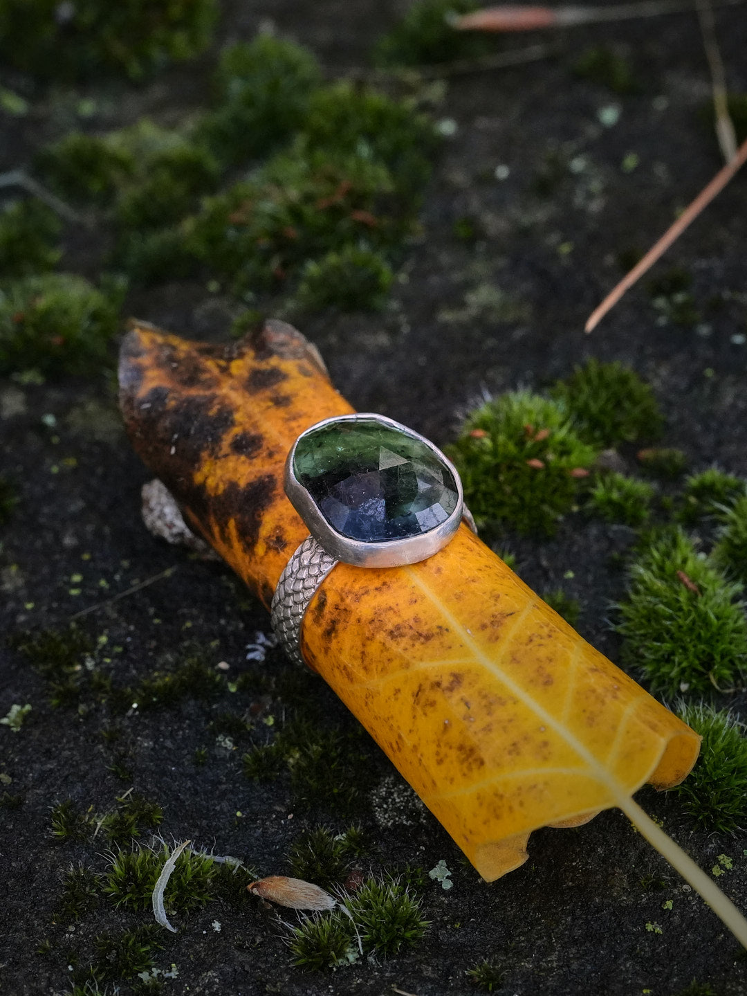 The Rider's Ring